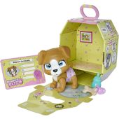 Pampers Pets Cane